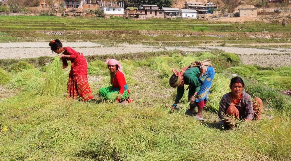 बर्खाले बगाउने डर, चुनावले नछोएको मनः रामेछापमा मतदाताको मौन असन्तोष(भिडियो)